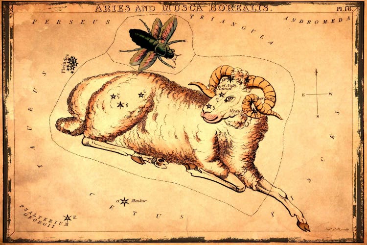 Aries & Musca Borealis1825 by Sidney Hall wall art