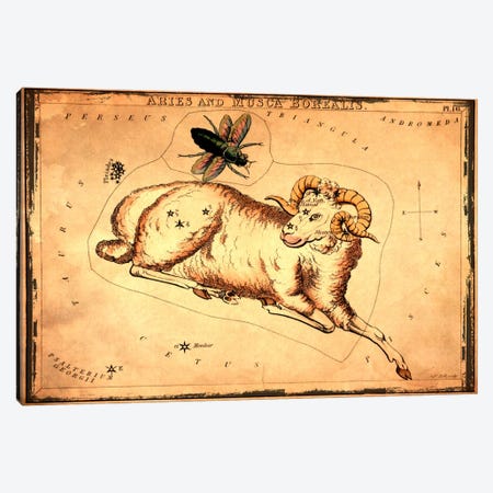 Aries & Musca Borealis1825 Canvas Print #ICA1087} by Sidney Hall Canvas Art