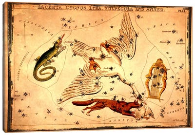 Lacerta, Cygnus, Lyra, Vulpecula & Anser Canvas Art Print - Sidney Hall