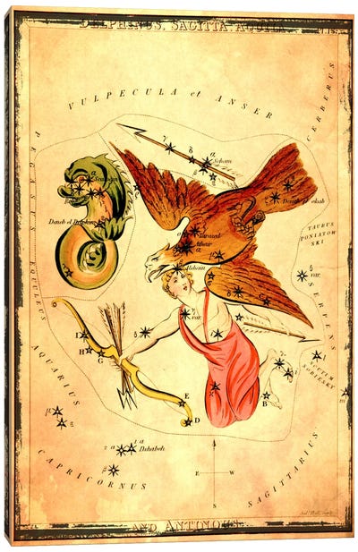 DelphinusSagitta, Aquila, & Antinous Canvas Art Print - Celestial Maps