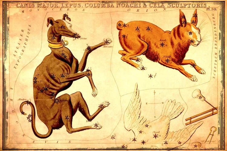 Canis Major Lepus, Columba Noachi, & Cela Sculptoris by Sidney Hall wall art