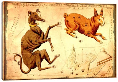 Canis Major Lepus, Columba Noachi, & Cela Sculptoris Canvas Art Print - Sidney Hall
