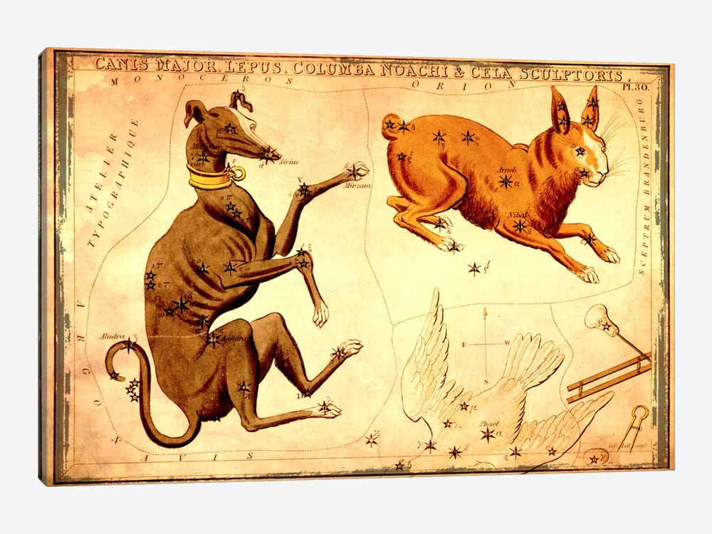 Canis Major Lepus, Columba Noachi, & Cela Sculptoris by Sidney Hall 1-piece Canvas Art