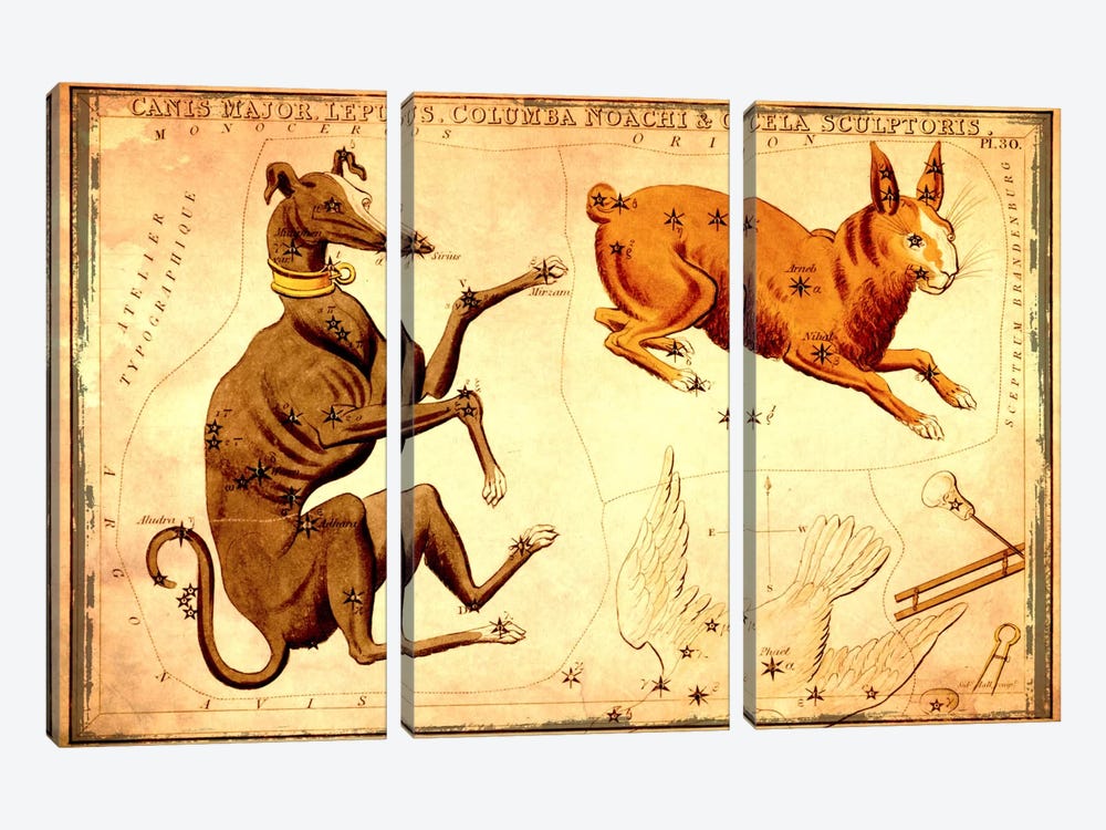Canis Major Lepus, Columba Noachi, & Cela Sculptoris by Sidney Hall 3-piece Canvas Art