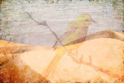 Misplaced by 5by5collective canvas print