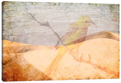Misplaced Canvas Art Print - Desert Landscape Photography
