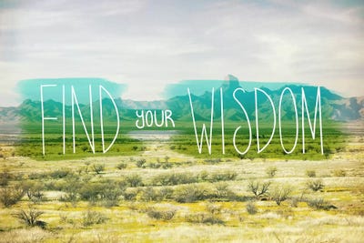 Find Your Wisdom by 5by5collective framed canvas print