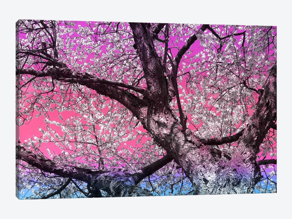 Under the Almond Blossom Tree by 5by5collective 1-piece Canvas Print