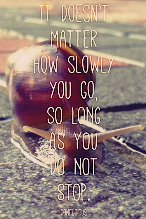 At a Snails Pace
