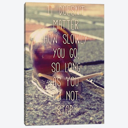 At a Snails Pace Canvas Print #ICA112} by 5by5collective Canvas Artwork