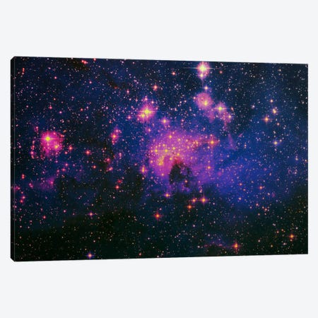 Cosmos Canvas Print #ICA1133} by 5by5collective Art Print