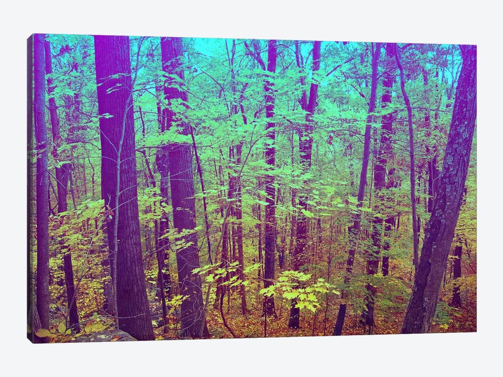 Psychedelic Forest by 5by5collective 1-piece Canvas Art