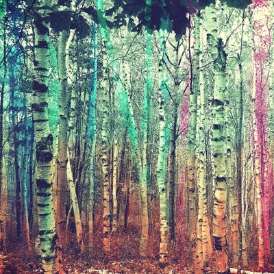 Colorized Forest 3 by 5by5collective art print