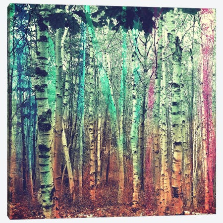 Colorized Forest 3 Canvas Print #ICA1150} by Unknown Artist Canvas Print