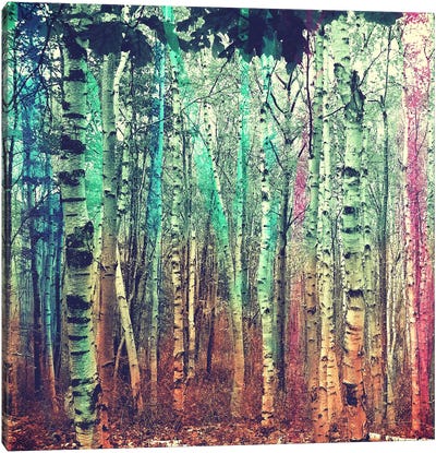 Colorized Forest 3 Canvas Art Print - Tyrone