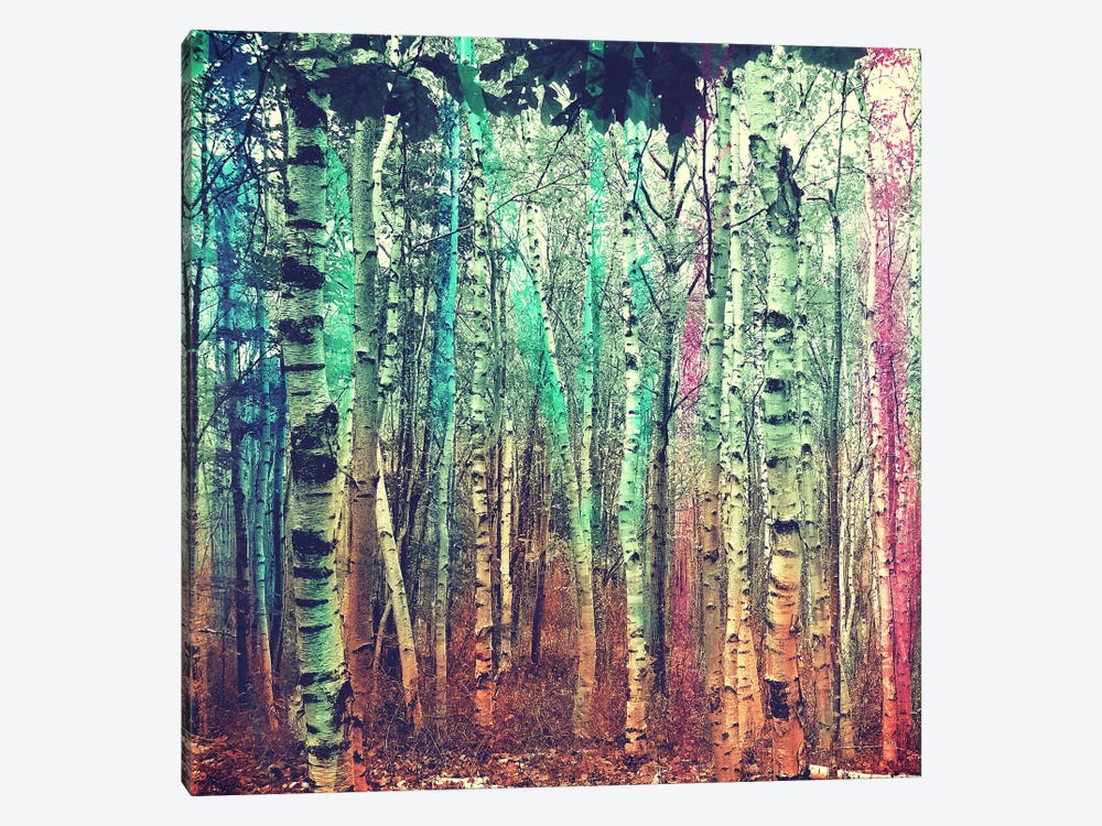 Colorized Forest 3 by Unknown Artist 1-piece Art Print