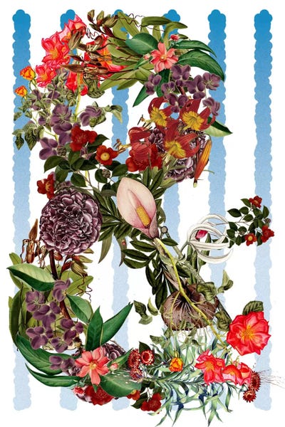 Ampersand by 5by5collective canvas print