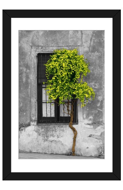Tree in Front of Window Green Pop Color Pop Paper Art Print - Photography Art