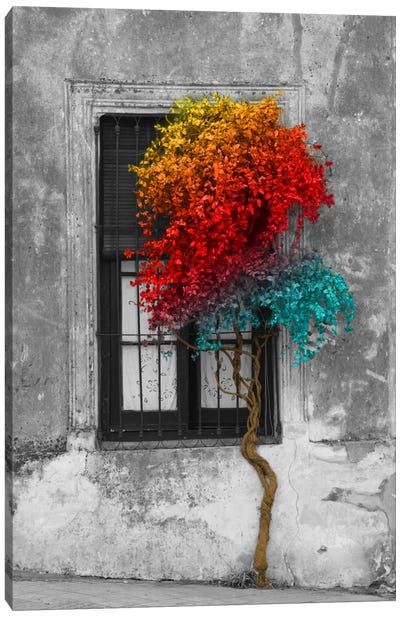 Tree in Front of Window Rainbow Pop Color Pop Canvas Art Print - 3-Piece Photography