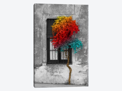 Rainbow Modern Tree SQUARE BOX FRAMED CANVAS ART Picture 