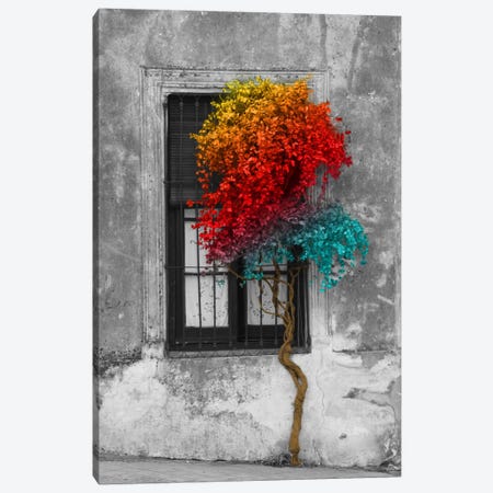 Tree in Front of Window Rainbow Pop Color Pop Canvas Print #ICA1206} by Panoramic Images Canvas Artwork
