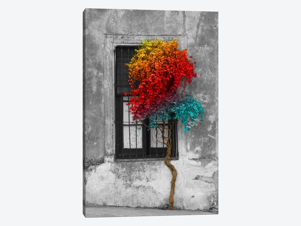 Tree in Front of Window Rainbow Pop Color Pop by Panoramic Images 1-piece Canvas Wall Art