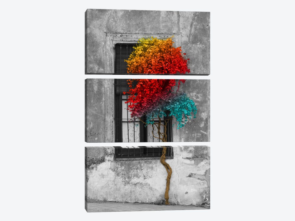 Tree in Front of Window Rainbow Pop Color Pop by Panoramic Images 3-piece Canvas Wall Art