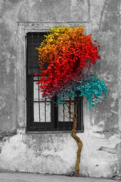 Panoramic Images: Tree in Front of Window Rainbow Pop Color Pop by Panoramic Images