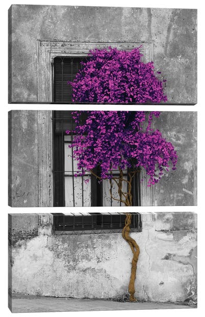Tree in Front of Window Purple Pop Color Pop Canvas Art Print - 3-Piece Vintage Art