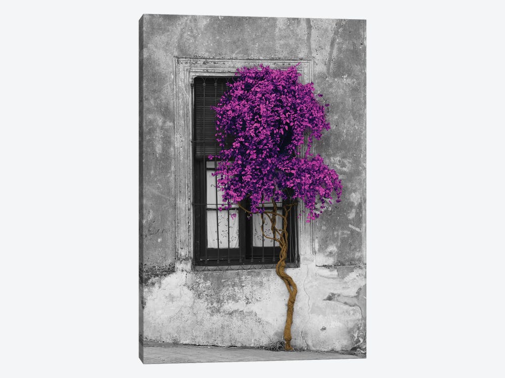 Tree in Front of Window Purple Pop Color Pop 1-piece Art Print