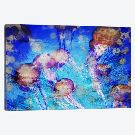 Jellies Canvas Print #ICA124} by Unknown Artist Canvas Wall Art