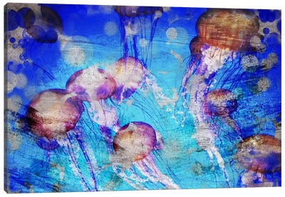 Jellies Canvas Art Print - Jellyfish Art