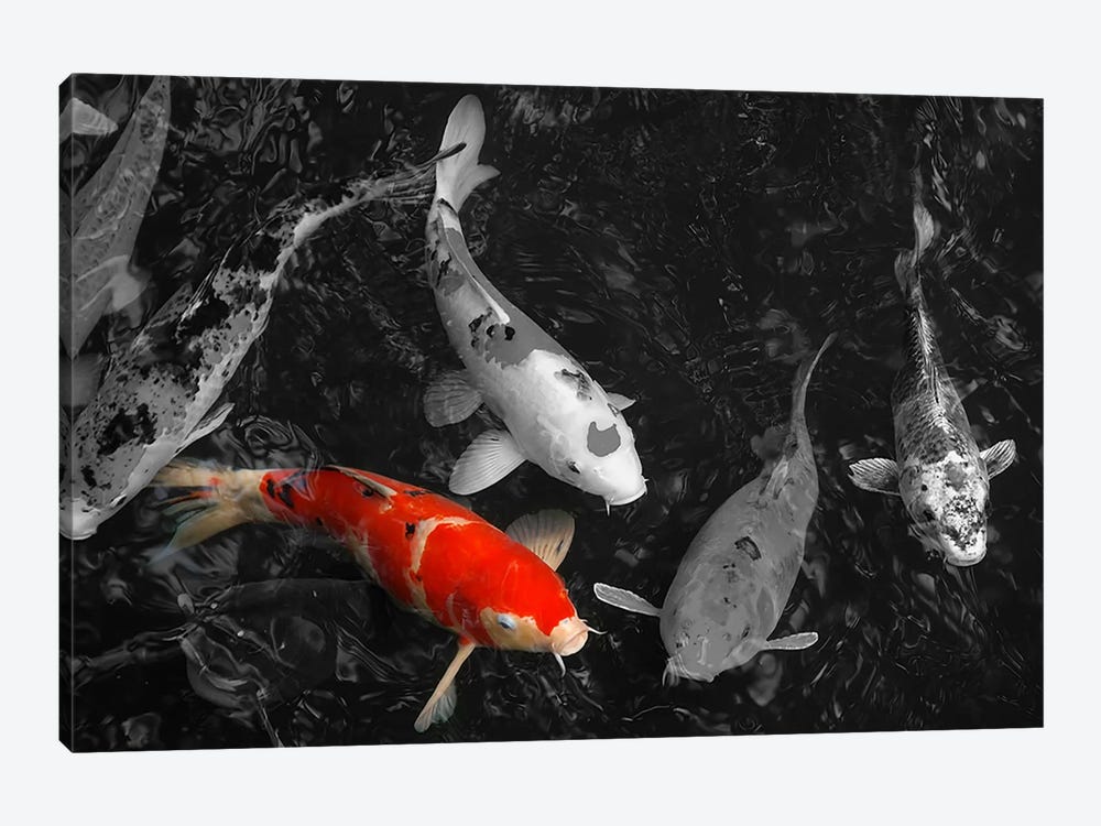Koi Carp In Japan Color Pop by Unknown Artist 1-piece Canvas Wall Art