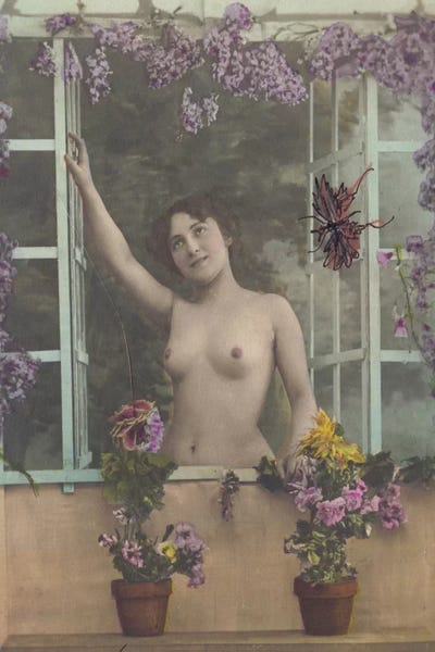 Nude in the Window by Unknown Artist canvas print