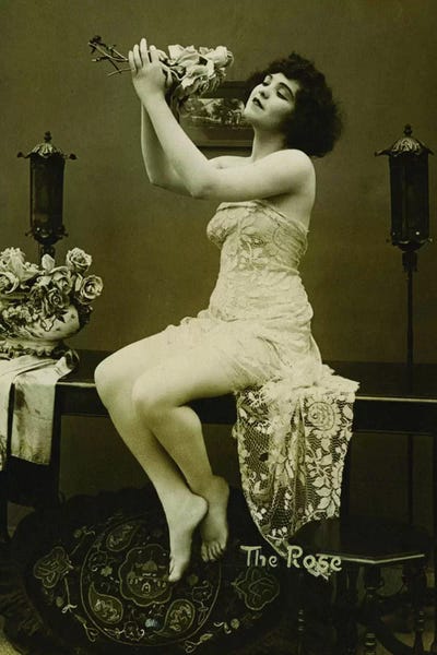 Historical Fashion: The Rose by Unknown Artist