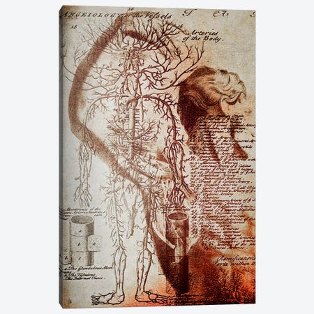 Victorian Anatomy Canvas Print #ICA1322} by 5by5collective Canvas Art