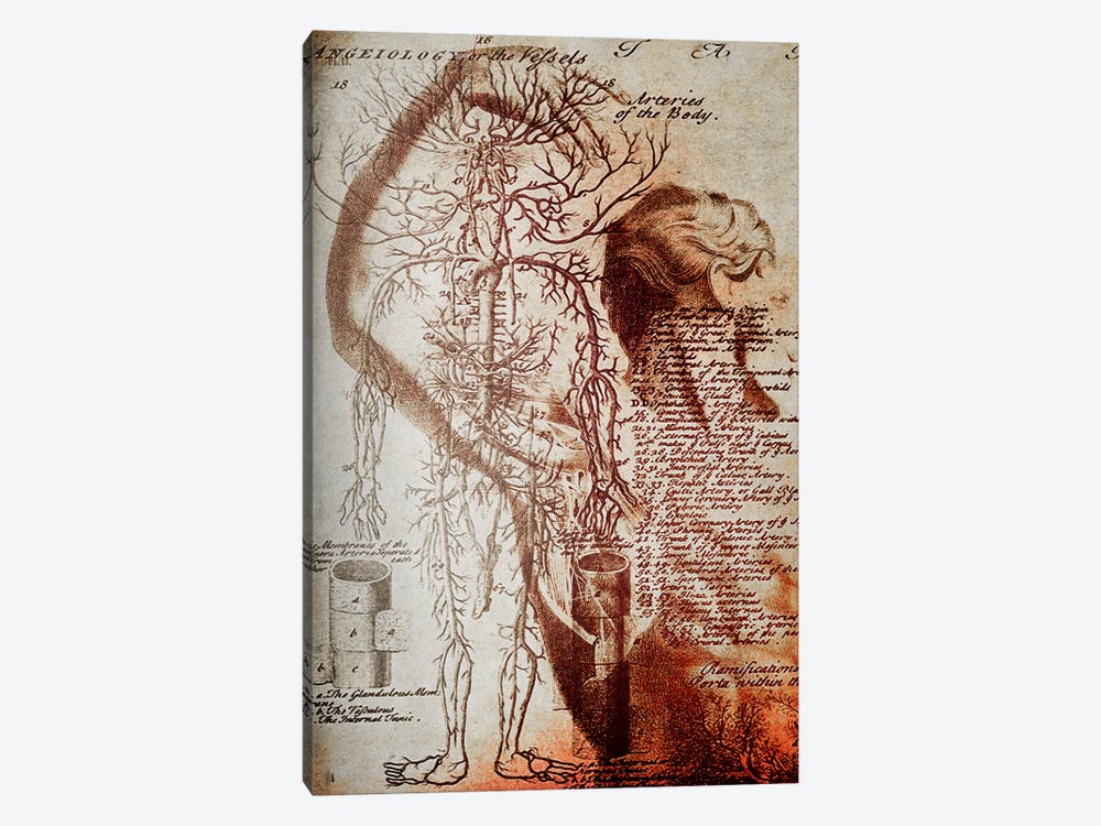 Victorian Anatomy by 5by5collective 1-piece Art Print