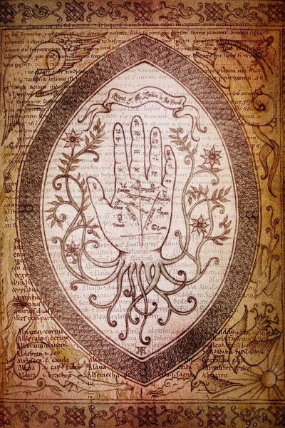 Victorian Palmistry by 5by5collective canvas print