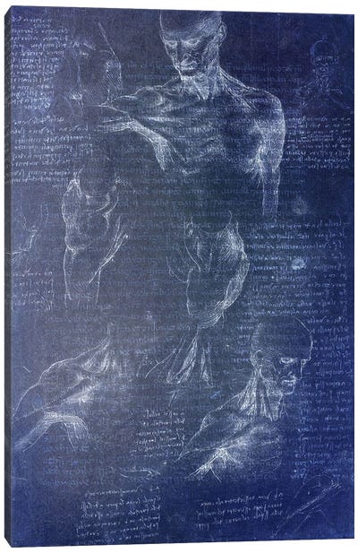 Anatomical Blueprint I Canvas Art Print - Science Art
