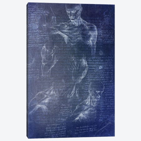 Anatomical Blueprint I Canvas Print #ICA1353} by 5by5collective Canvas Print