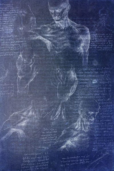 5by5collective: Anatomical Blueprint I by 5by5collective