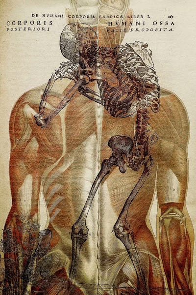 Science: Corporis Hvmani by 5by5collective