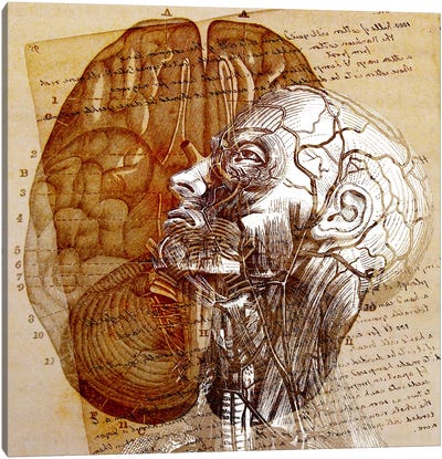 Mind of the Mind Canvas Art Print - Ginger