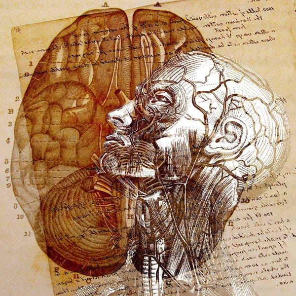 Biology: Mind of the Mind by 5by5collective