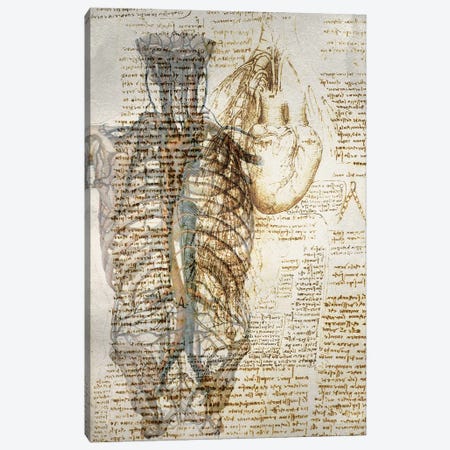 Vitruvian Kardia Canvas Print #ICA1356} by 5by5collective Canvas Wall Art
