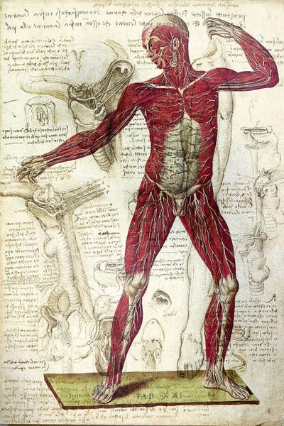 Skeletons: XXI by 5by5collective