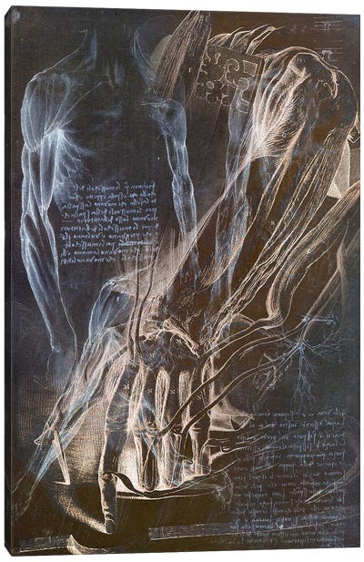 Anatomical Blueprint II Canvas Art Print - What "Dark Arts" Await Behind Each Door?