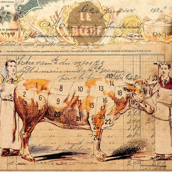 Bulls: Le Boeuf II by 5by5collective