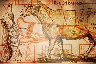 Le Mouton by 5by5collective canvas print