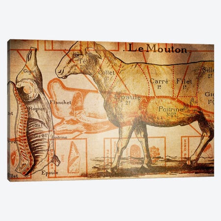 Le Mouton Canvas Print #ICA1362} by 5by5collective Canvas Artwork